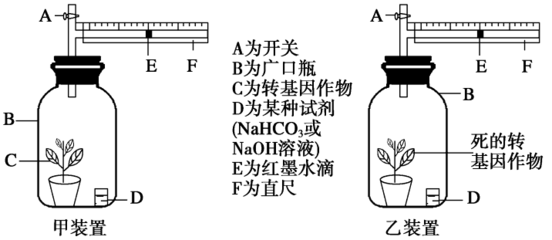 探究環(huán)境因素對光合作用強度的影響實驗設計,巧用一個裝置完成光合作用和呼吸作用相關實驗