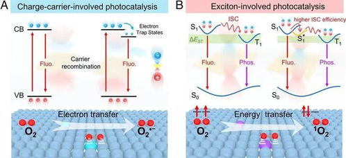 光合作用竟然發生在短短的億萬分之一秒,蘊藏著深刻宇宙奧秘