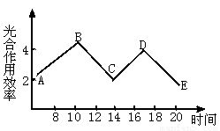ⅰ.下面左圖是植物細胞亞顯微結構模式圖.右圖是植物葉肉細胞中光合作用和呼吸作用的物質變化示意簡圖.其中a.b表示物質.① ④表示生理過程.據圖回答 1 紅色西瓜的瓜瓤細胞中